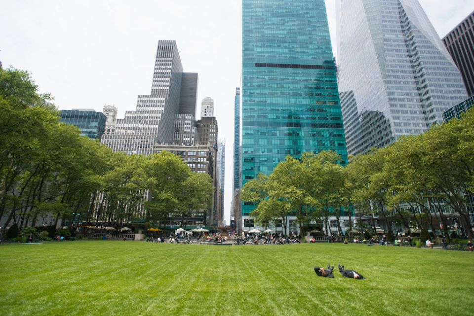 two people lying on the grass