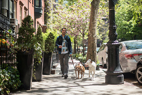 a man with his dog walking