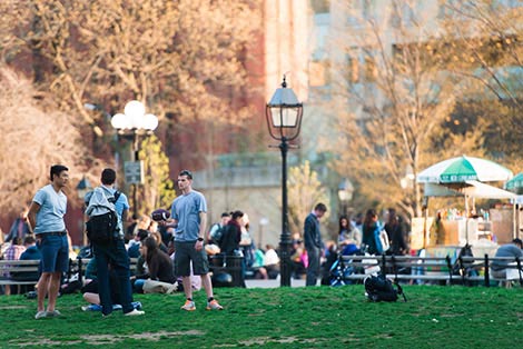 a group of people in the park