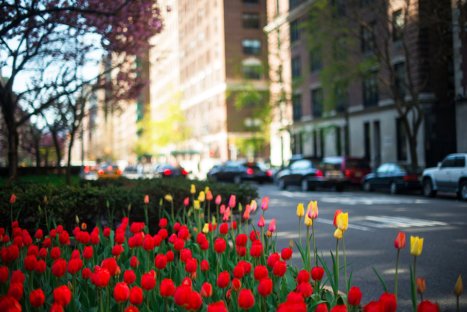 Manhattan retreat.